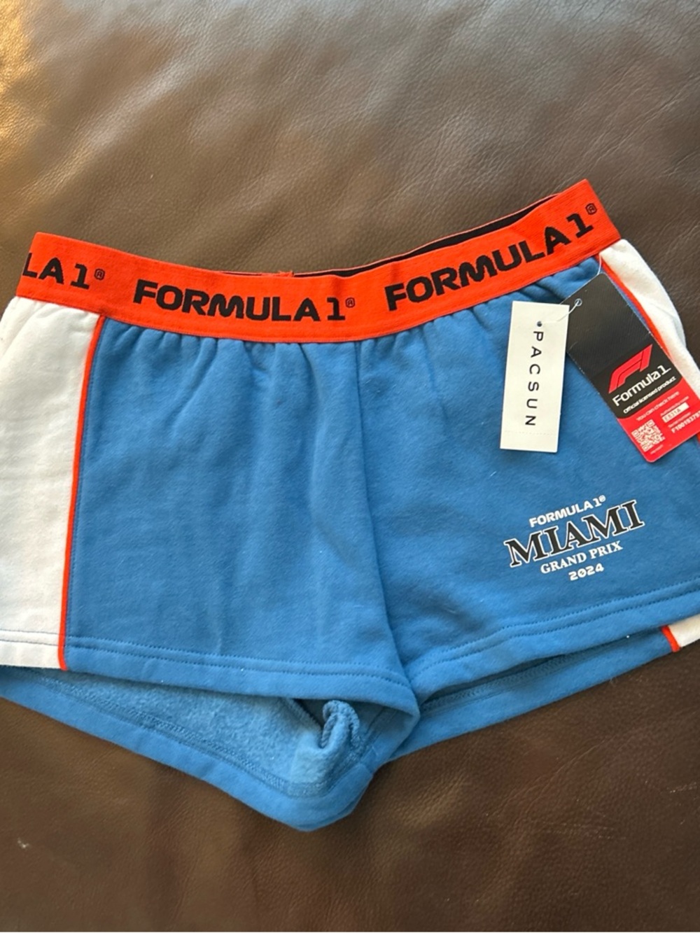 PacSun Light Blue Formula 1 Logo Pullover Sweatshirt